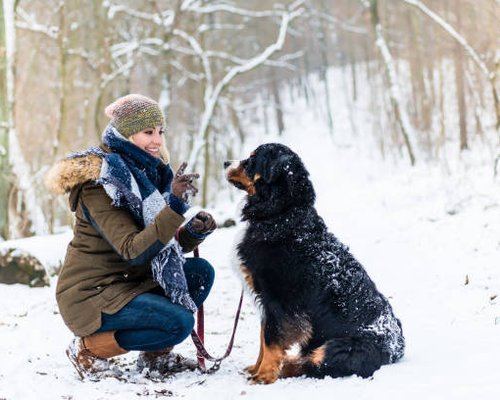 istockphoto-1067461334-612x612