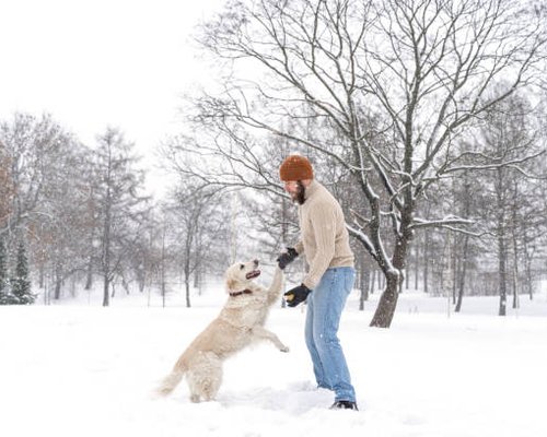 istockphoto-1437497811-612x612